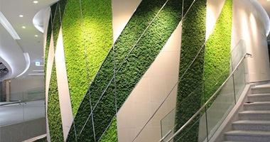 唐山生物質鍋爐